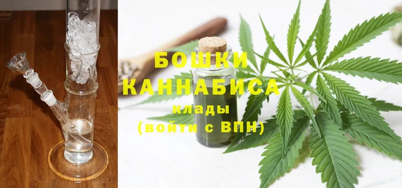 Конопля Ganja  Павлово 